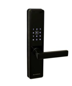 Shows the Dormakaba Smart Locks with black finish and black trim